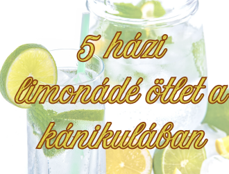 Kánikula ellen 5 házi limonádé ötlet nyárra