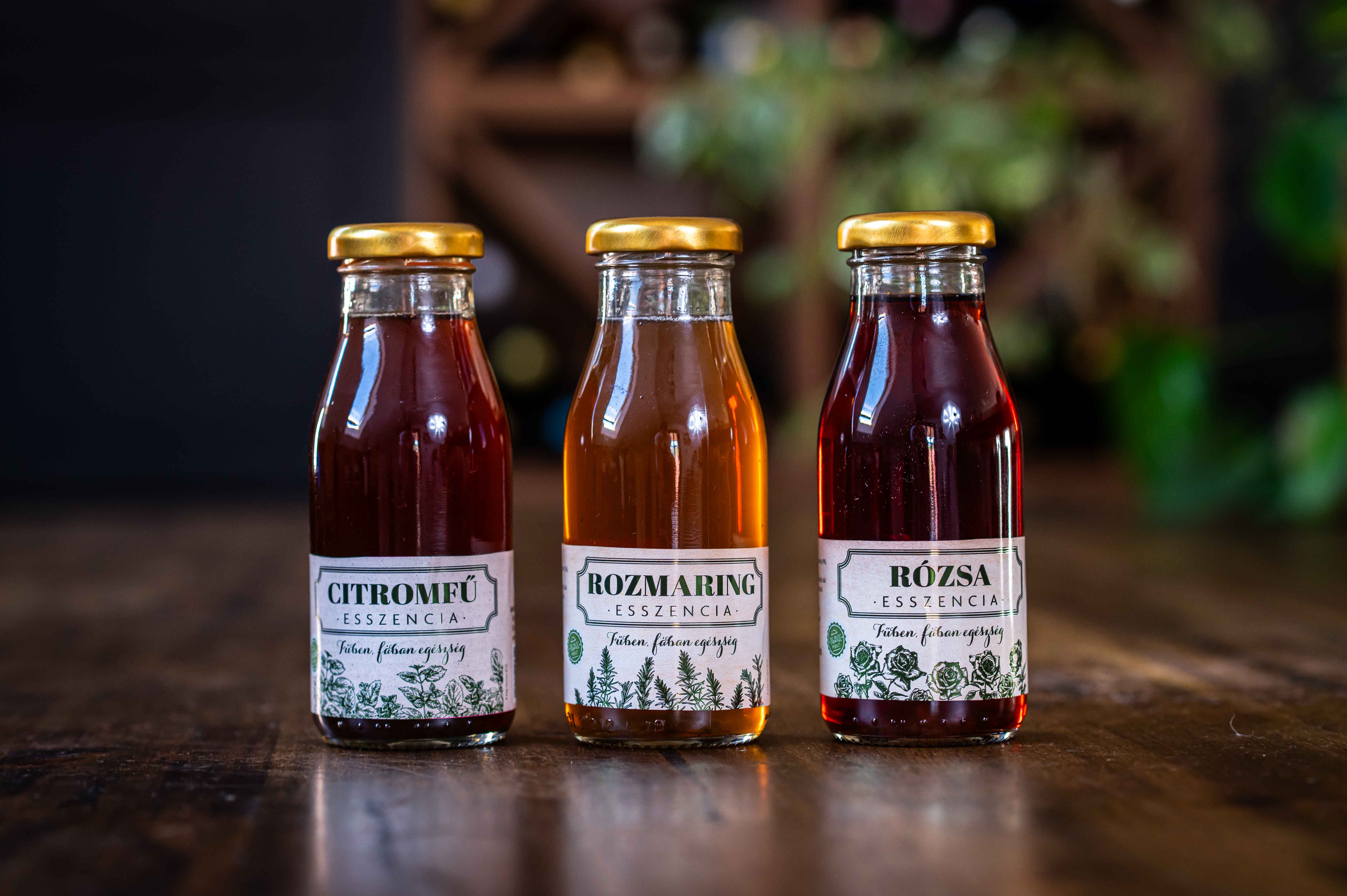 Újdonságok a Kutyorishop kínálatában