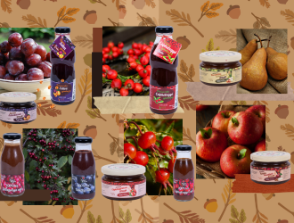 Az ősz csendes kincsei